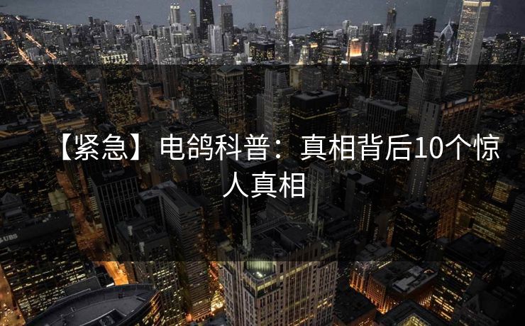 【紧急】电鸽科普:真相背后10个惊人真相 【紧急】电鸽科普:真相背后10个惊人真相